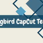 Mockingbird CapCut Template