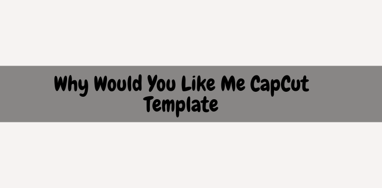 Why Would You Like Me CapCut Template
